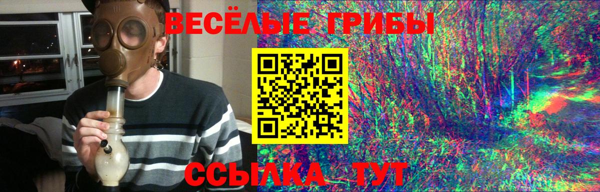 Галлюциногенные грибы мицелий Воронеж