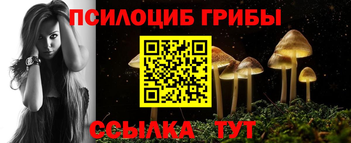 Галлюциногенные грибы мухоморы  где найти наркотики  Воронеж  Вход с VPN 